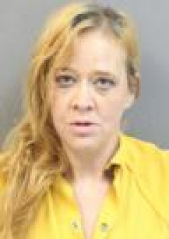 Mugshot of LILLI MARIE PRIVETTE