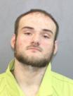 Mugshot of JAMES MICHAEL SAVAGE