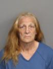 Mugshot of ILONA RUTH LEE