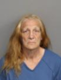 Mugshot of ILONA RUTH LEE