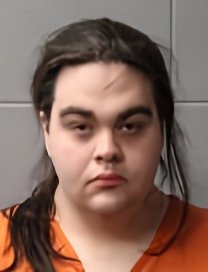 Mugshot of JESSE DYLAN DROSICK
