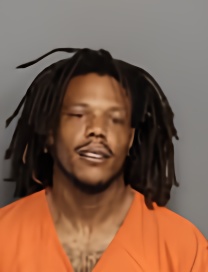 Mugshot of SETH VANN ROBINSON