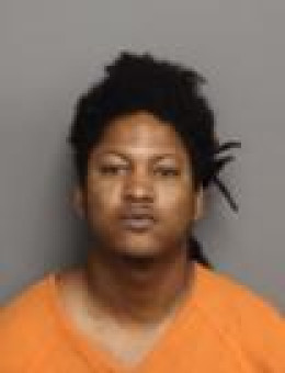 Mugshot of SAAFIREON DAESEAN SHYHID RICE