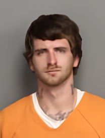 Mugshot of LEVI PRESTON COX
