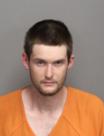 Mugshot of DAVID REESE ANDERSON