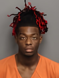 Mugshot of DAMIN LAMONT JR WILLIAMS