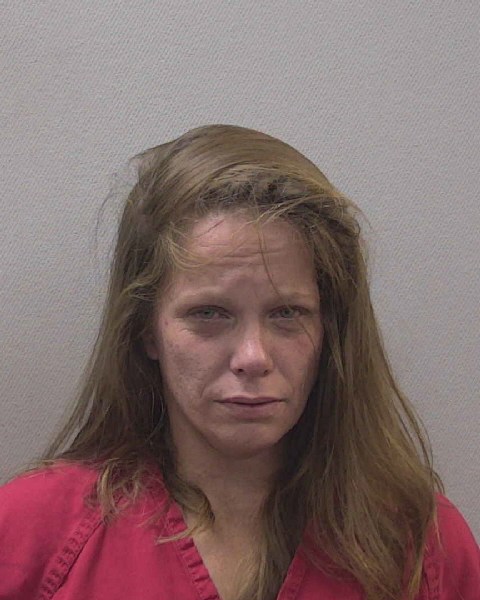 Mugshot of HEATHER LYNNE BELGER