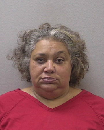 Mugshot of CHRISTINA HOPE ANDERSON