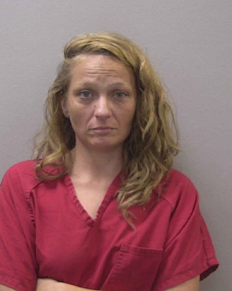 Mugshot of HEATHER DANIELLE LEE