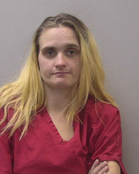 Mugshot of DANIELLE ELIZABETH CLARK