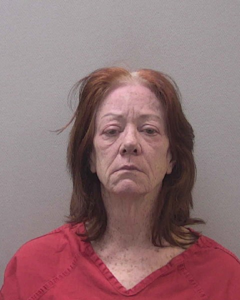 Mugshot of THERESA LOUISE HOITT