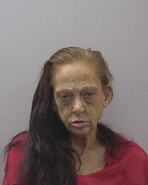 Mugshot of TRACY LYNNE ETHERIDGE