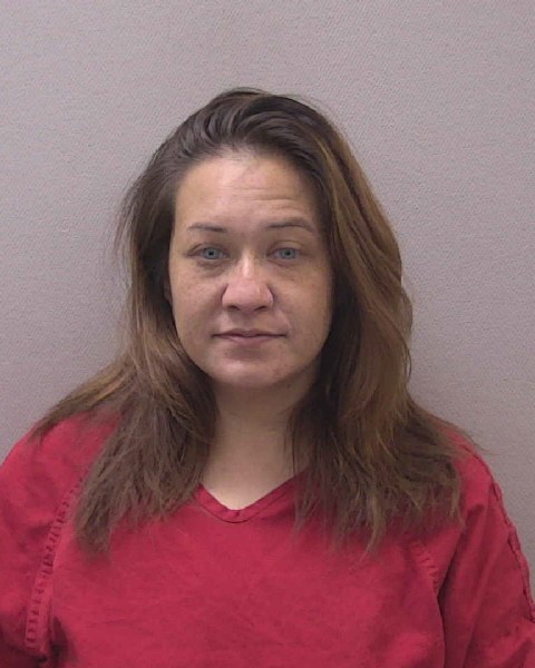 Mugshot of LYNN MARIE MCDONALD