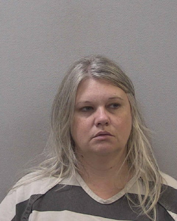 Mugshot of BRANDI MARIE ANDERSON