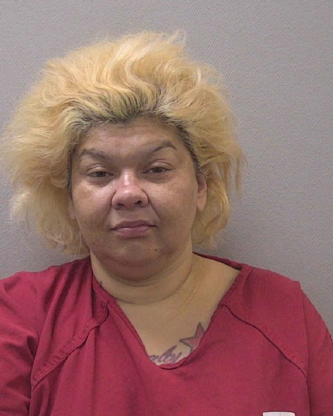 Mugshot of MARY LYNN MCMARVA