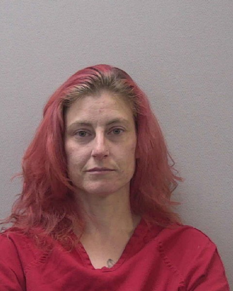 Mugshot of MALLORY KAY BOYLES