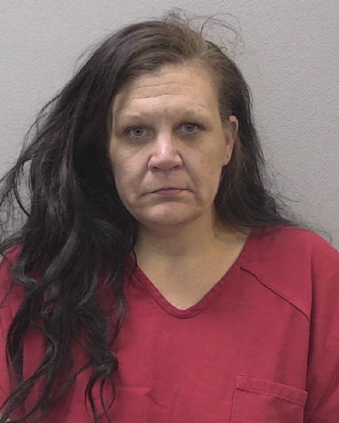 Mugshot of AMY SUZANNE BRIDGES