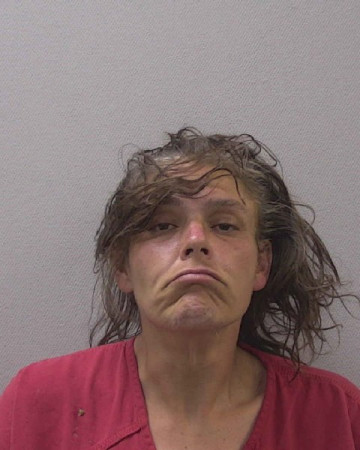 Mugshot of SALLY KRISTEN WADE
