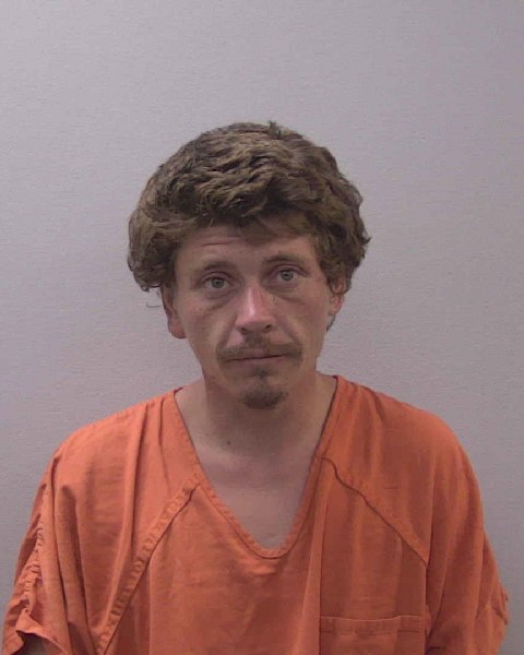 Mugshot of DILLON RAY BRYAN