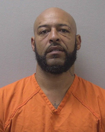 Mugshot of DANA TOLEN