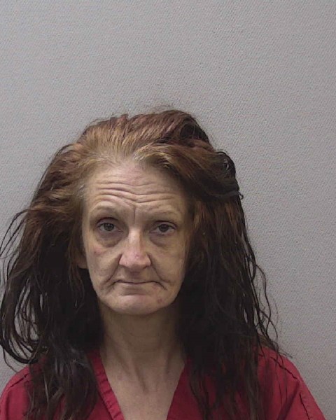Mugshot of ANDREA ROSE WILSON