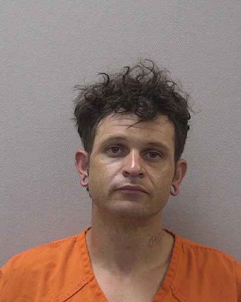 Mugshot of ROBERT CARLTON REAVES