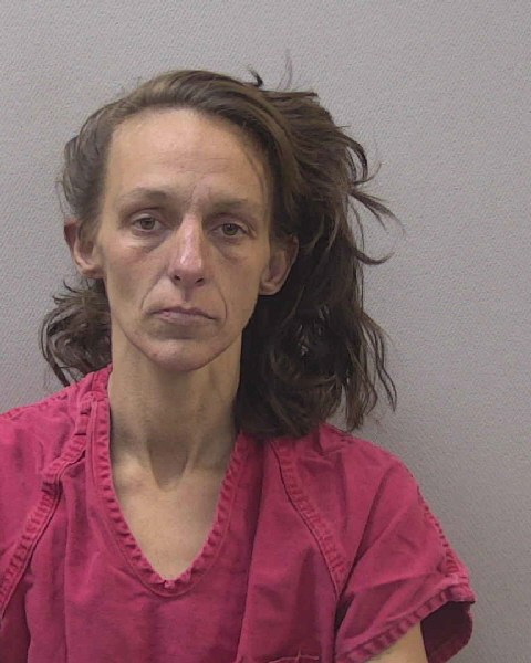 Mugshot of JENNIFER MICHELLE STORK