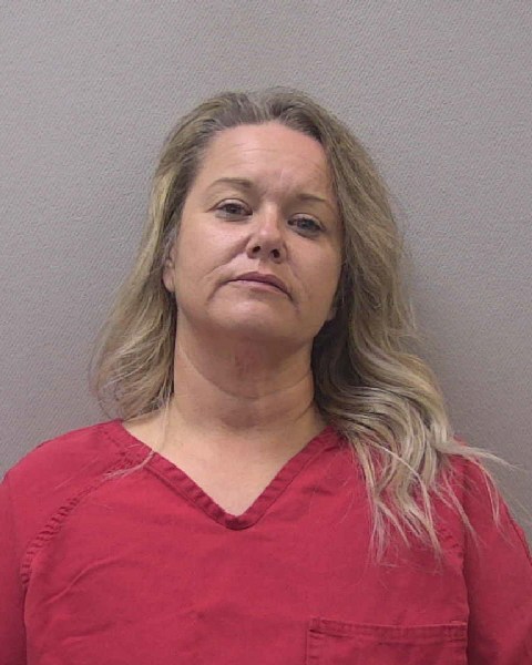 Mugshot of JESSICA ANN DONALD