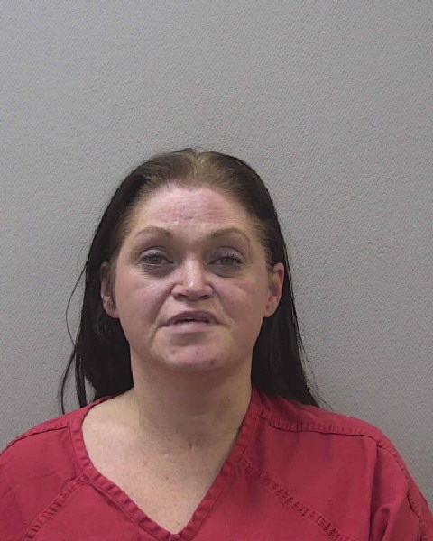 Mugshot of ANGIE HOBSON FREMODY