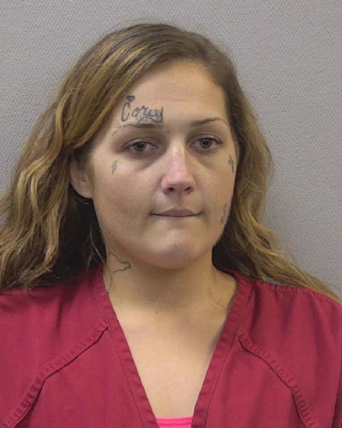 Mugshot of BREANNA LOVE EDWARDS