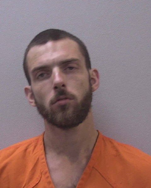 Mugshot of TERRY DWAYNE GOINS