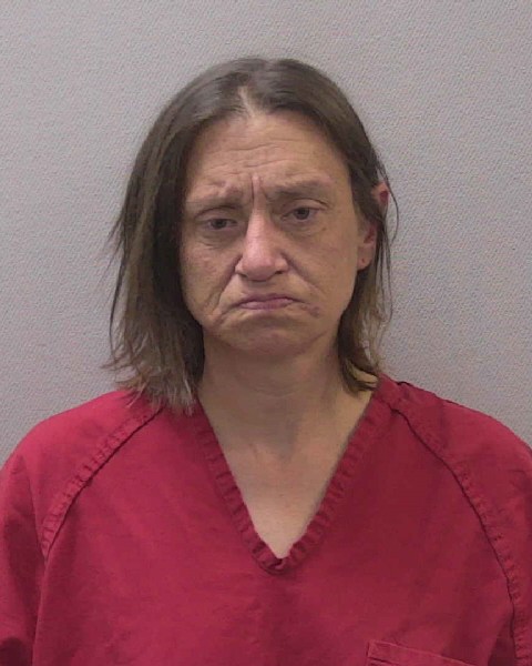 Mugshot of SUZANNA MARIE WISE