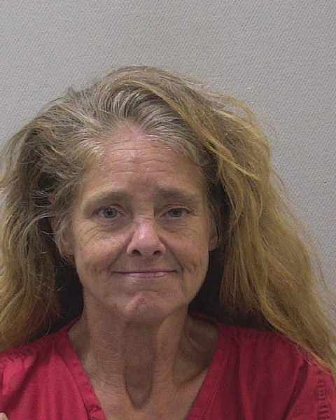 Mugshot of DEANNA LOUISE STARLING