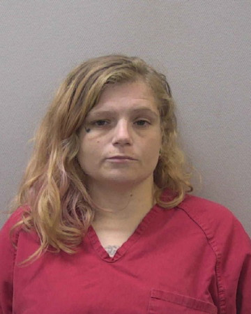Mugshot of MICHELLE LYNN KNIGHT