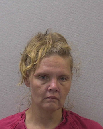 Mugshot of SERENA ANN MCBEE