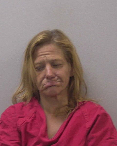 Mugshot of ANGELA LYNN REYNOLDS-MIMS