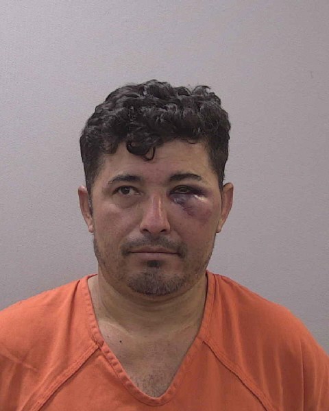 Mugshot of ELBIN ALEXANDER SABILLON-GRAJEDA