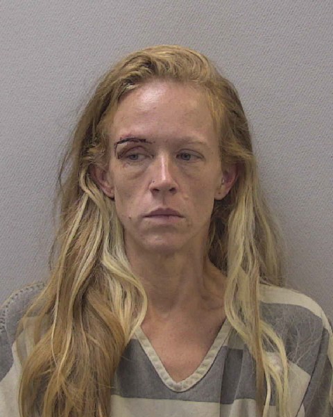 Mugshot of LAUREN CHRISTA ROGERS