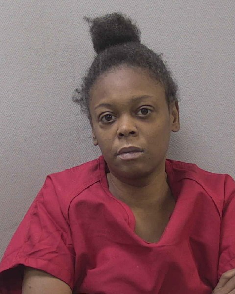 Mugshot of LAKITA DENISE GALLMAN