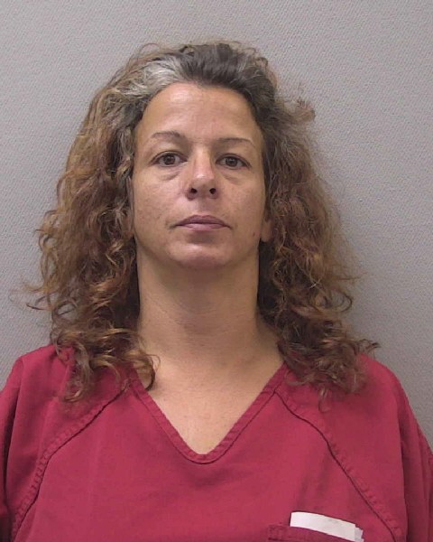 Mugshot of JESSICA NICOLE ELLISON