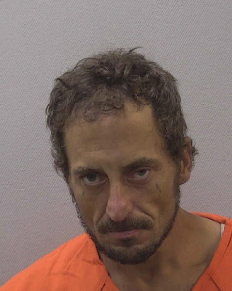 Mugshot of JAMIE LEE HARDY
