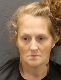 Mugshot of BRANDY LOUISE AVENDANO
