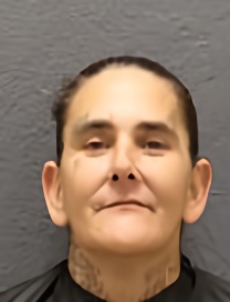 Mugshot of BRENDA LOUISE WALKER