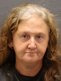 Mugshot of LORIE ELLEN LEE