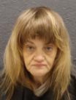 Mugshot of DIANE ALEXANDER
