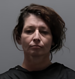 Mugshot of MEGAN RENEA CHAPMAN FREEMAN