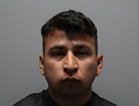 Mugshot of RAUL REYES OROPEZA