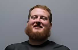 Mugshot of VINSON JOE JENKINS