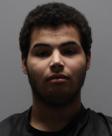 Mugshot of GEMINI ALLEN