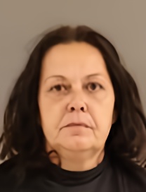 Mugshot of MISTI ANN HOLLADAY